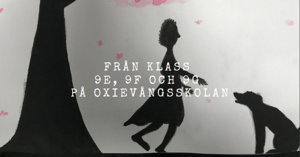 Elever skriver texter om Bodri - Hedi Fried