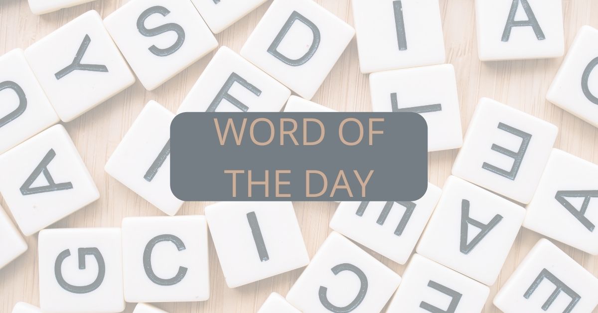 word of the day - talk about words in school